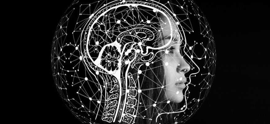 artificial intelligence, brain, thinking, computer science, technology, intelligent, information, data, microprocessor, data exchange, communication, network, digitization, science fiction, futuristic, artificial intelligence, brain, brain, brain, brain, brain, technology