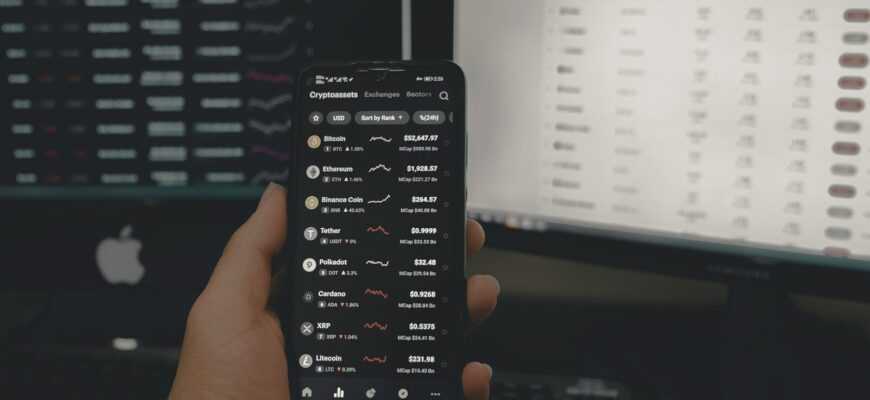 person holding black android smartphone